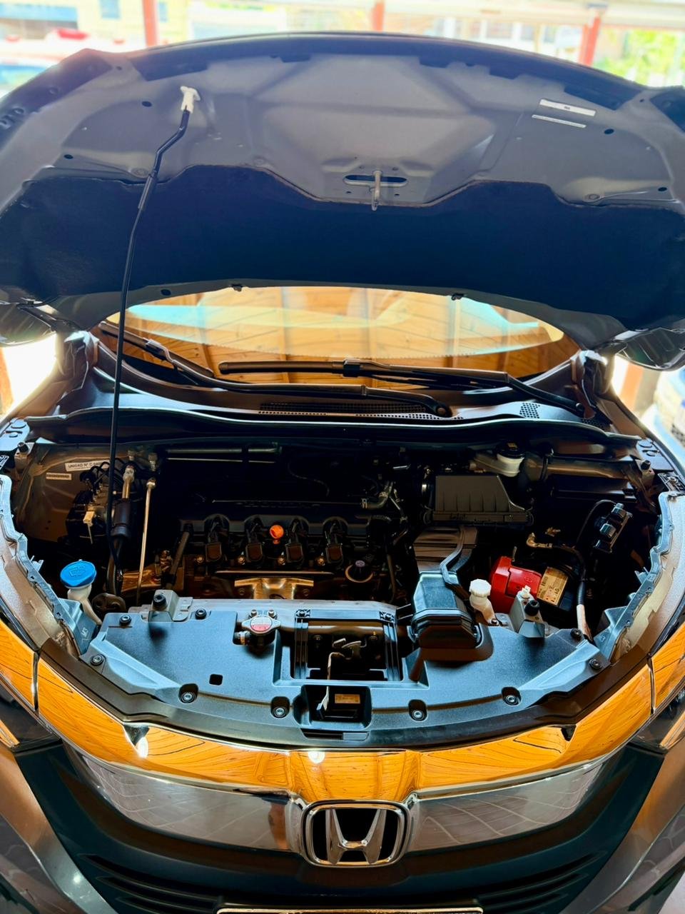 WhatsApp Image 2025-12-30 at 11.58.55 AM