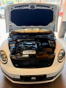 WhatsApp Image 2026-01-26 at 5.48.12 PM (1)