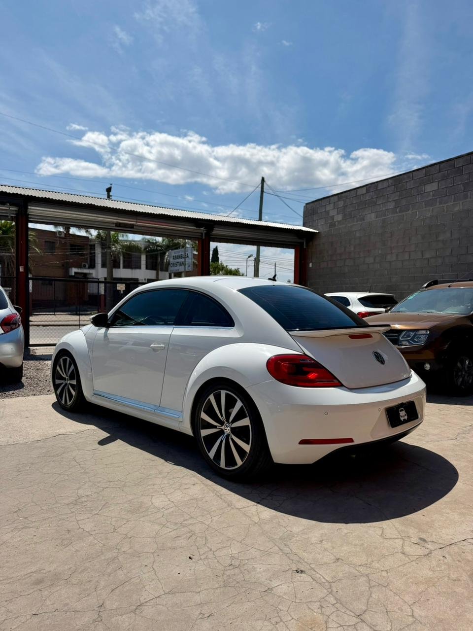 WhatsApp Image 2026-01-26 at 5.48.14 PM (3)