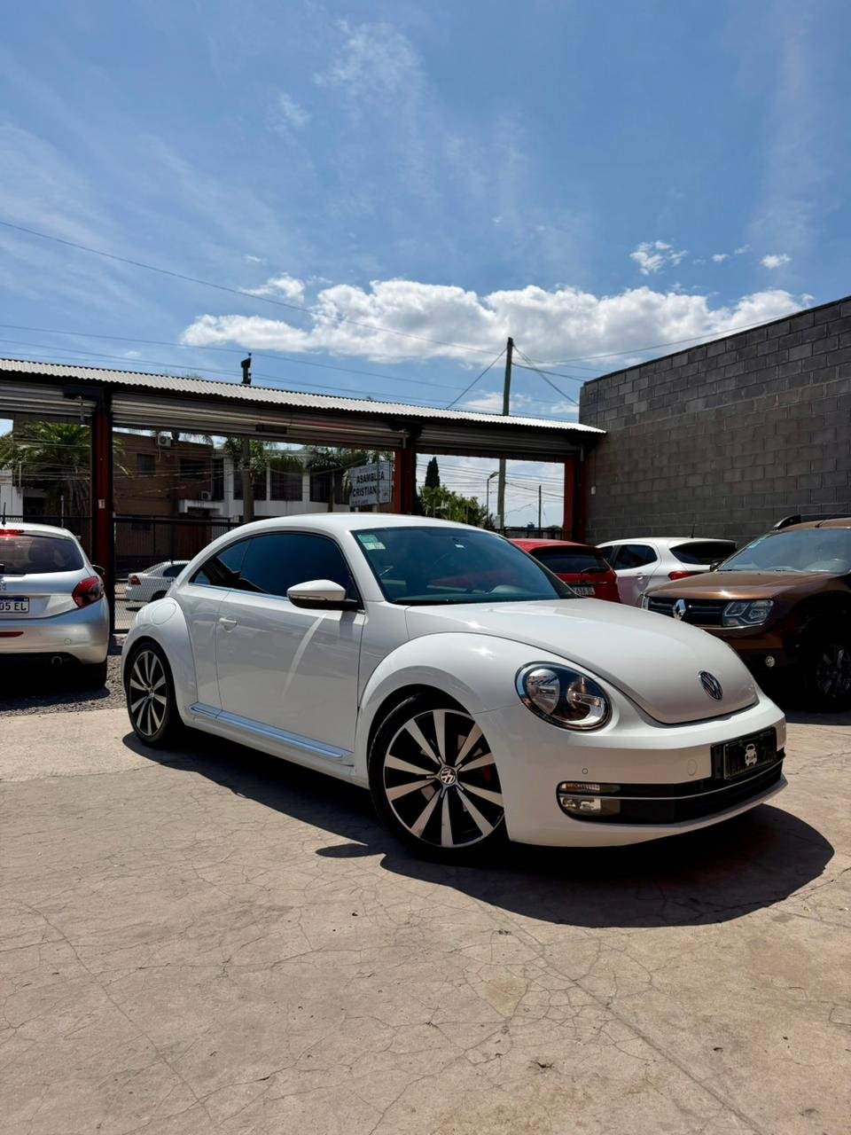 WhatsApp Image 2026-01-26 at 5.48.16 PM (3)