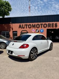 WhatsApp Image 2026-01-26 at 5.48.16 PM (4)