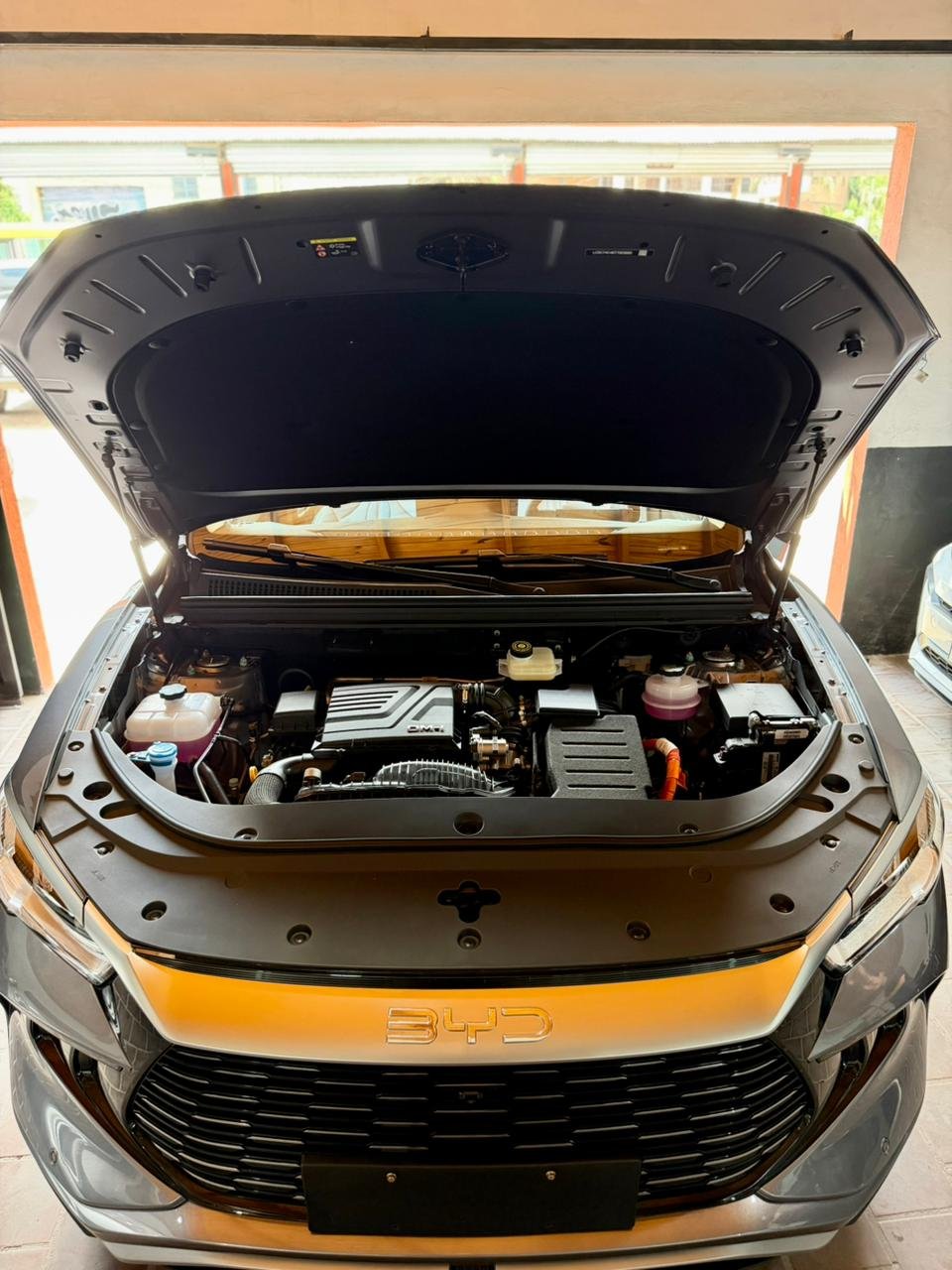 WhatsApp Image 2026-01-27 at 2.38.59 PM