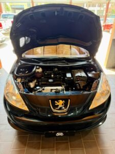 WhatsApp Image 2026-02-03 at 12.52.54 PM