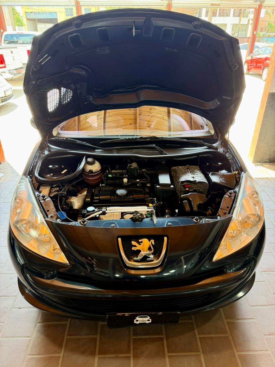 WhatsApp Image 2026-02-03 at 12.52.54 PM