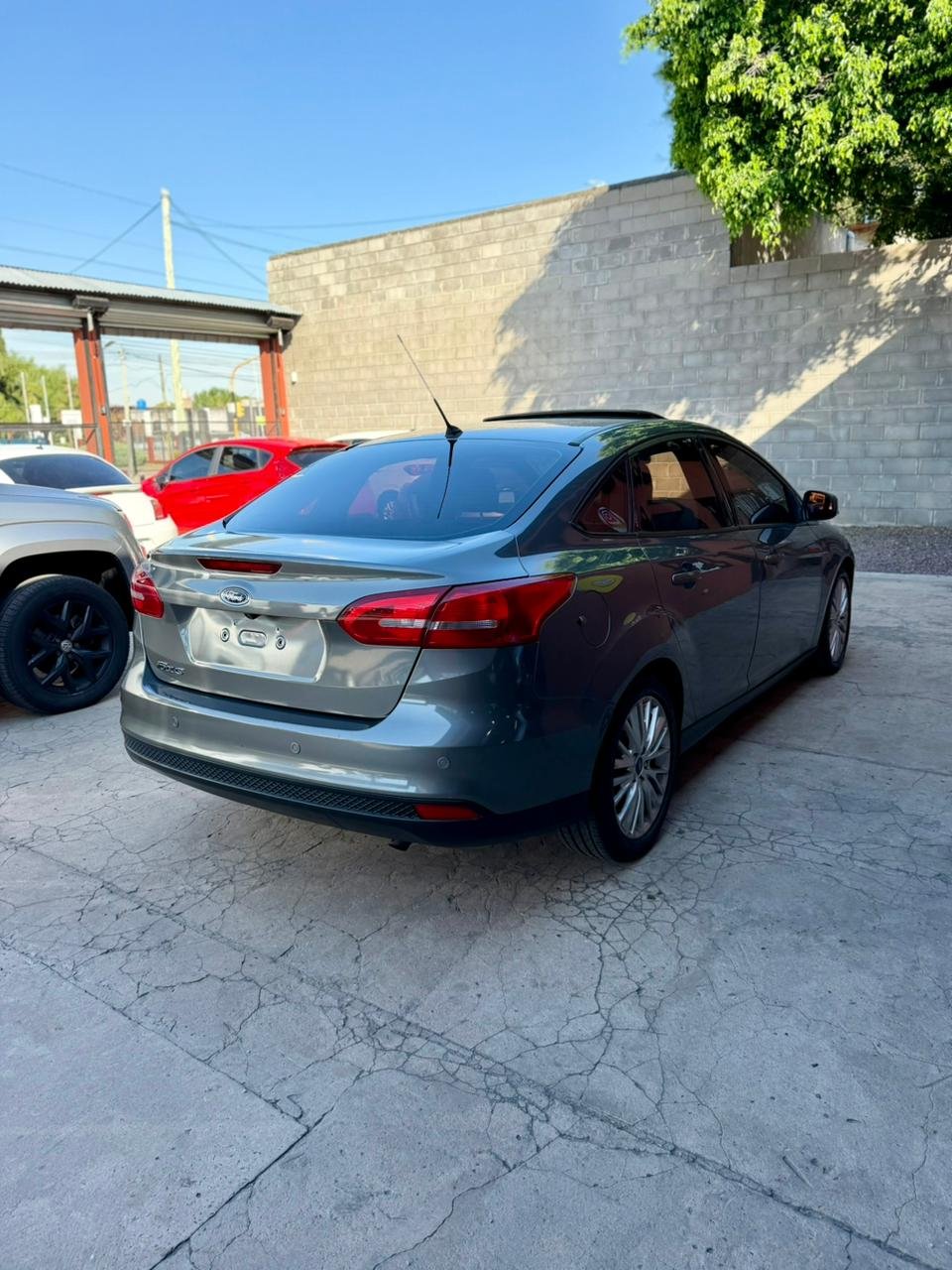 WhatsApp Image 2026-02-12 at 5.25.19 PM