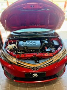 WhatsApp Image 2026-02-13 at 3.21.07 PM