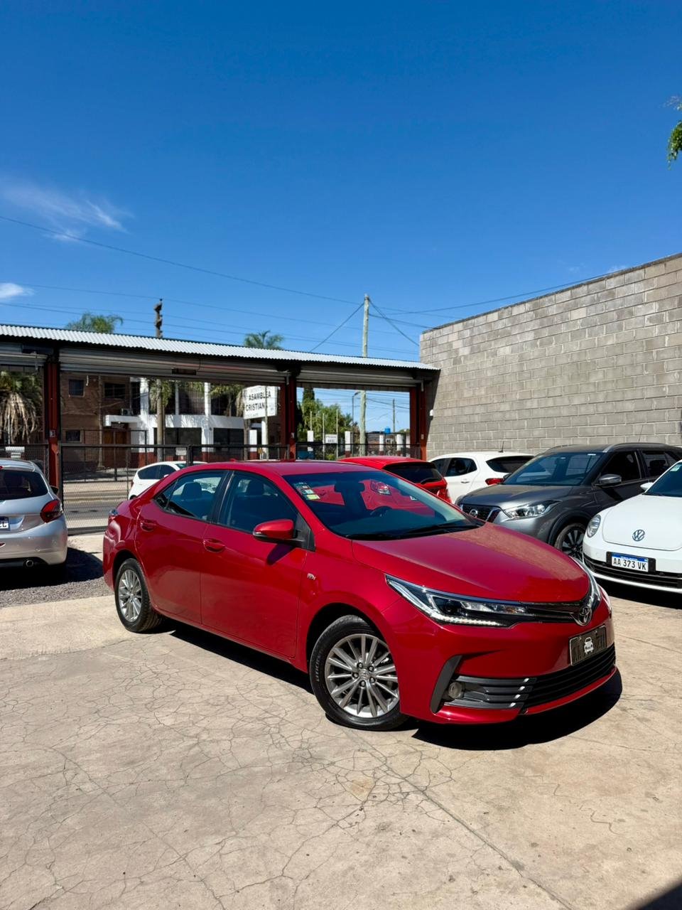 WhatsApp Image 2026-02-13 at 3.21.10 PM (1)