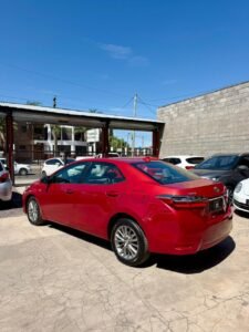 WhatsApp Image 2026-02-13 at 3.21.11 PM