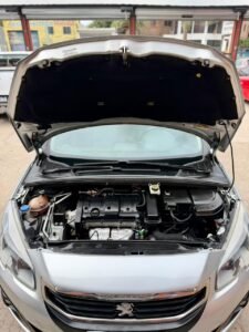 WhatsApp Image 2026-03-06 at 3.58.31 PM