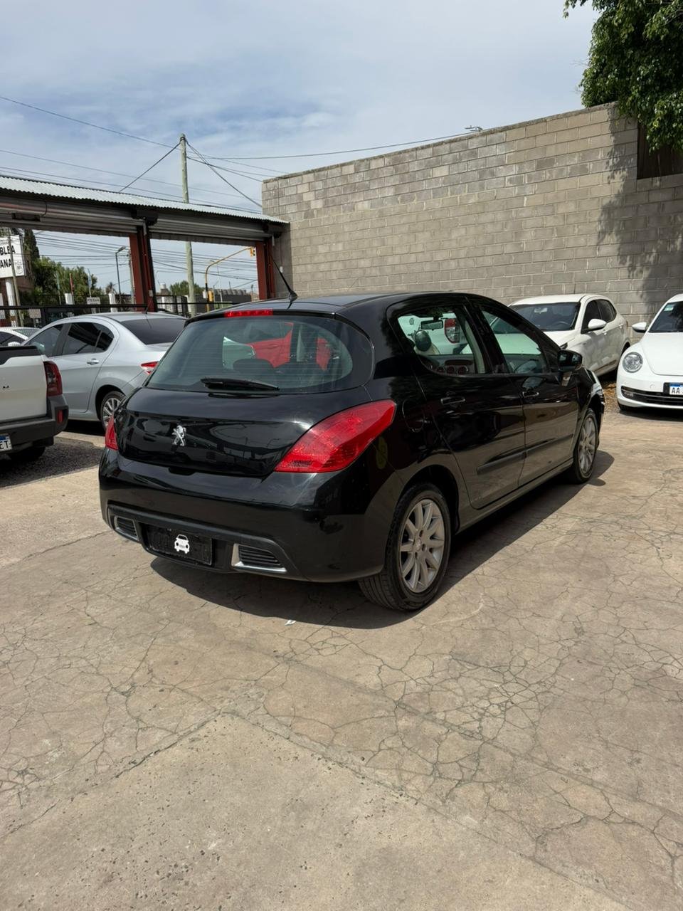 WhatsApp Image 2026-03-13 at 2.23.36 PM