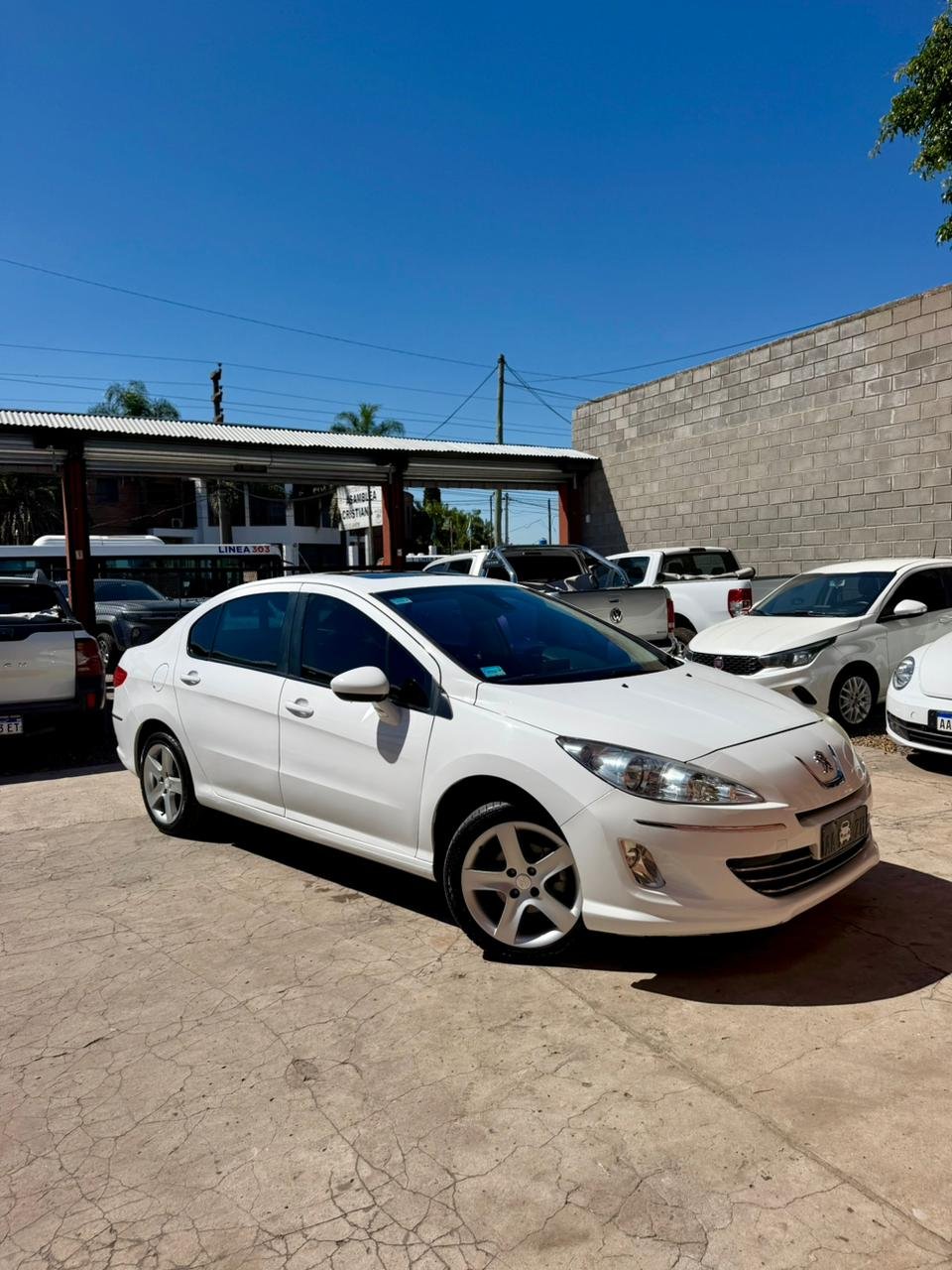 WhatsApp Image 2026-03-25 at 12.57.24 PM